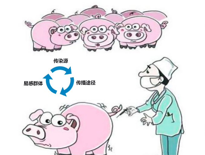 豬場(chǎng)生物安全